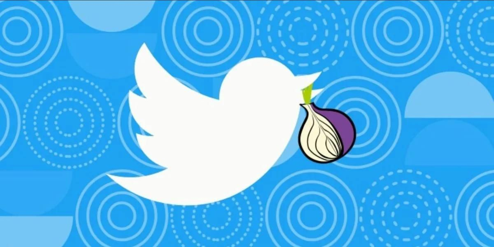 Twitter ya es accesible desde Tor. Twitter ya es accesible desde Tor.