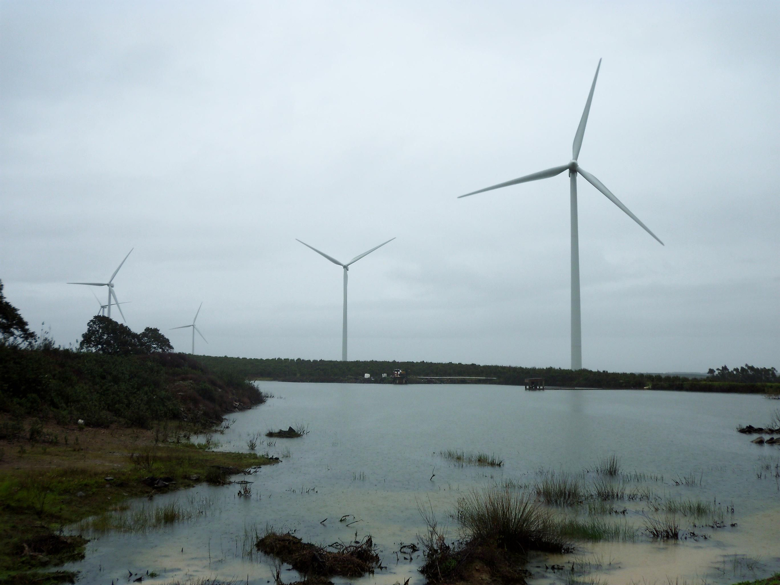 Instalación eólica en Huelva. Instalación eólica en Huelva.