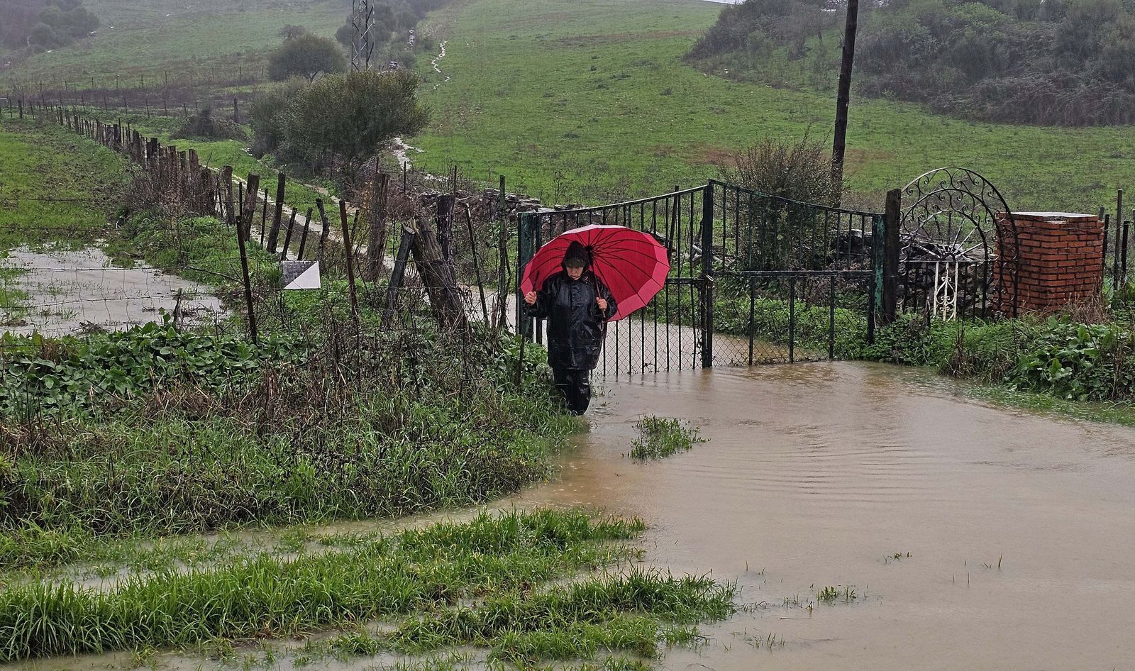 Fotos de las inundaciones y efectos de la borrasca Francis en Los Barrios, Tesorillo y Jimena