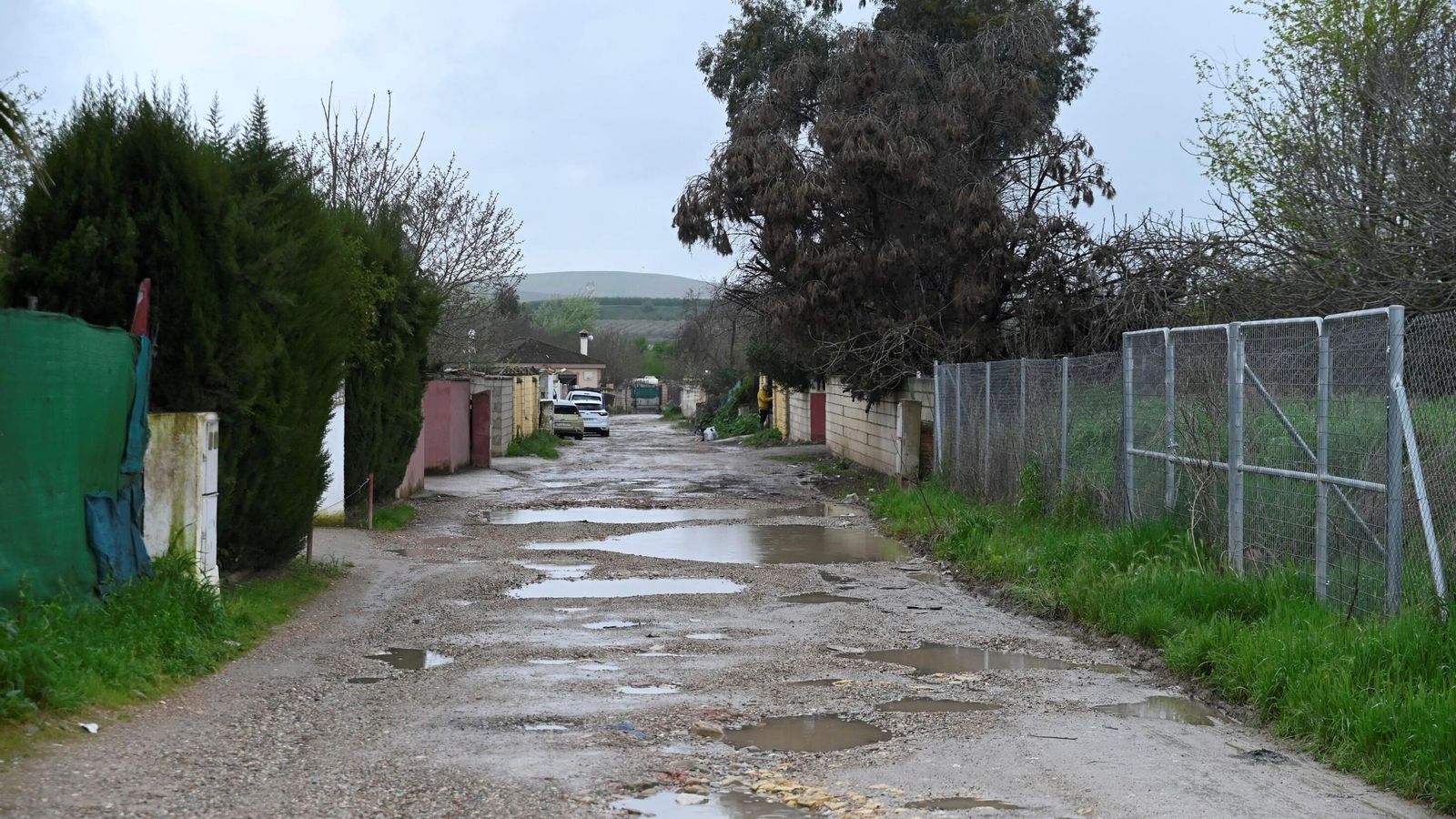 Imagen de la calle Las Tórtolas de la parcelación Guadalvalle