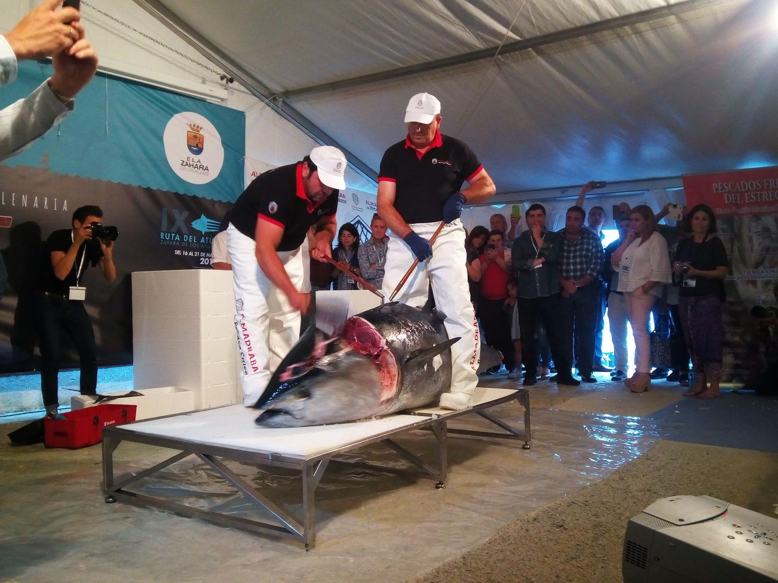 Una subasta y un ronqueo abren la novena ruta del atún de almadraba