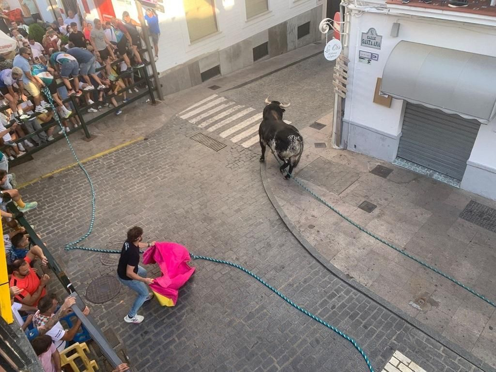 Las imágenes del toro de cuerda de Carcabuey