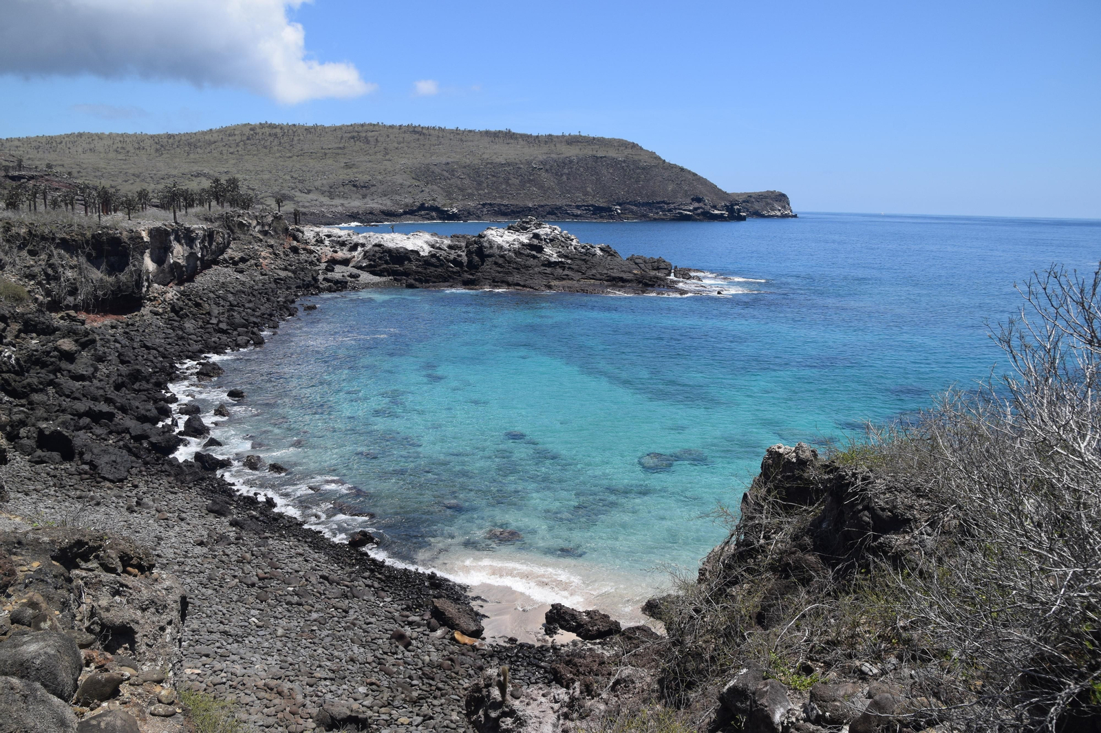 Las fotografías de Bárbara Sellés en una isla desierta para estudiar tortugas Las fotografías de Bárbara Sellés en una isla desierta para estudiar tortugas