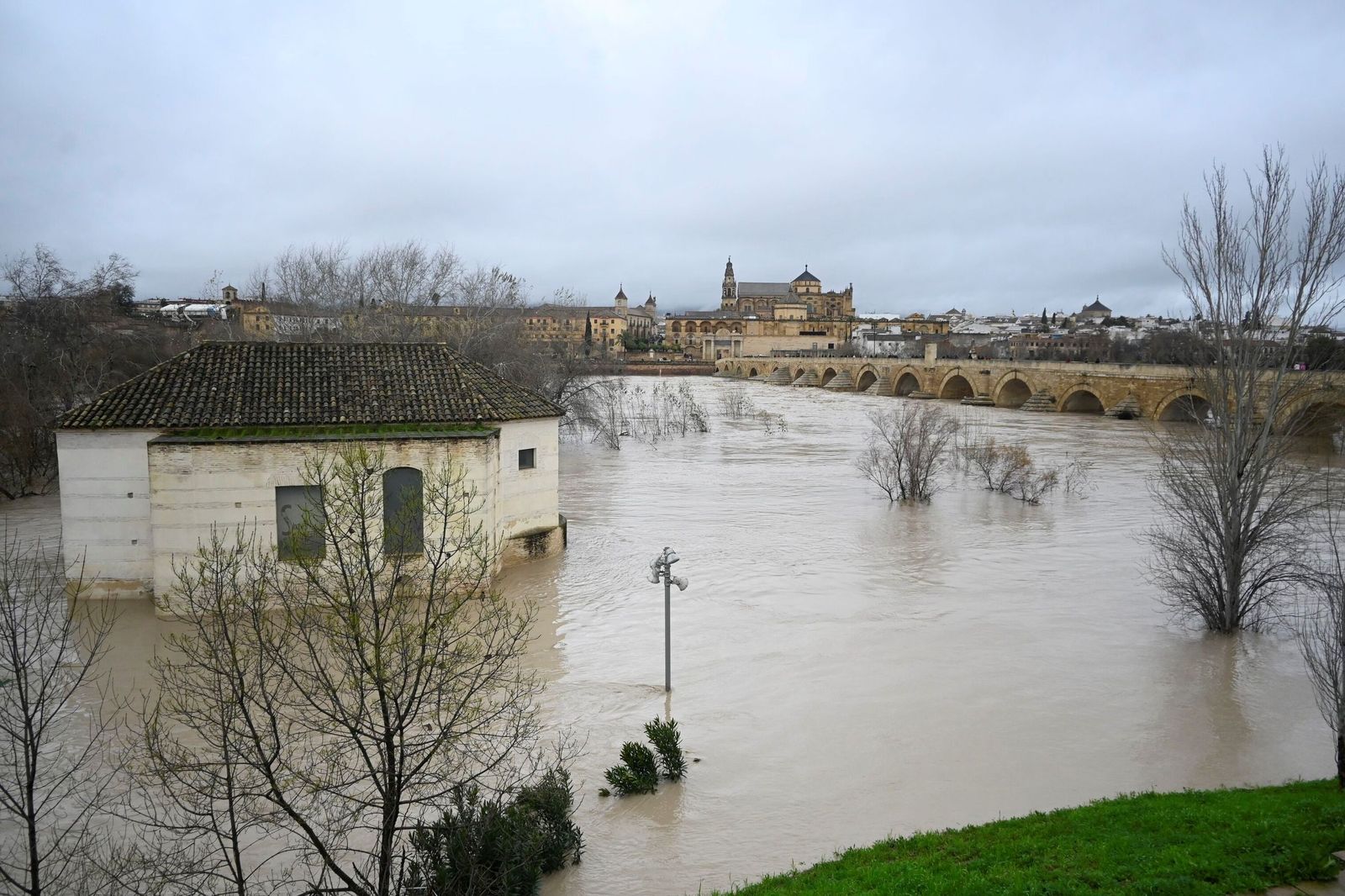 La impresionante crecida del río Guadalquivir: se acerca a los 6 metros a su paso por Córdoba