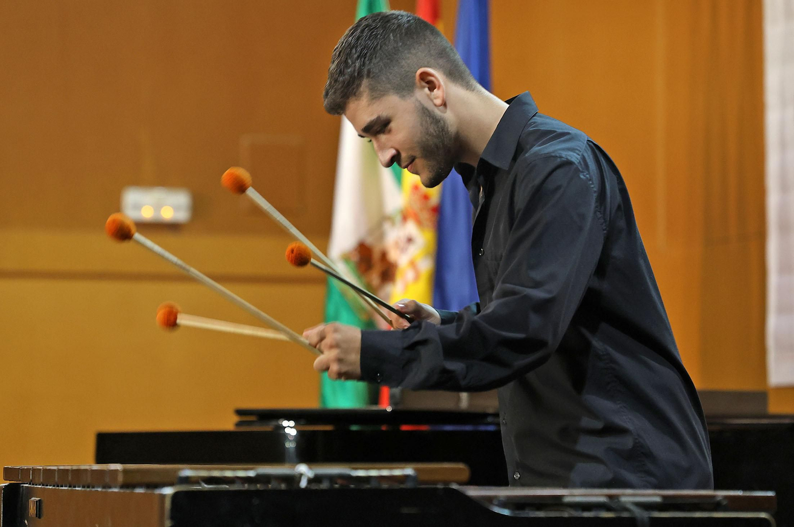 Imágenes del concierto del Conservatorio Profesional de Música 'Javier Perianes' con motivo de la celebración del Día de la Bandera de Andalucía