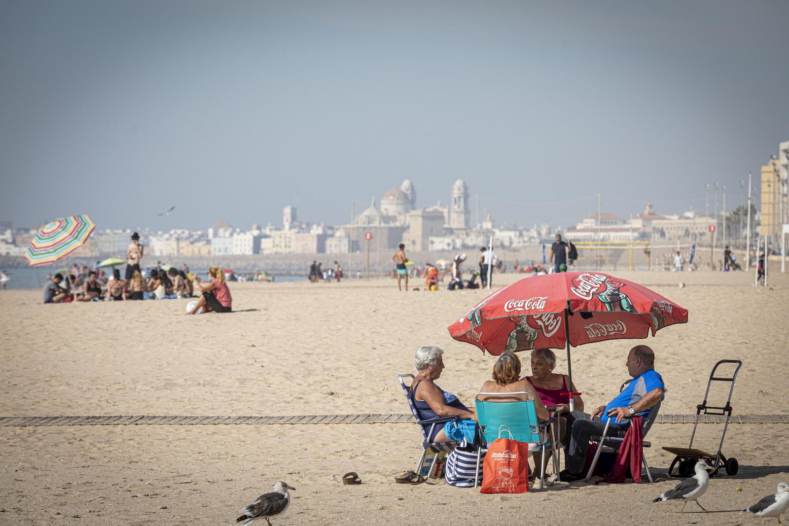 Imágenes: Así vive  Cádiz su primer puente en nivel 3