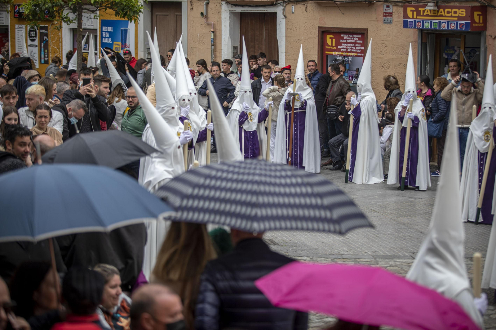 Las imágenes de la cofradía del Nazareno del Amor en la Semana Santa de Cádiz 2022