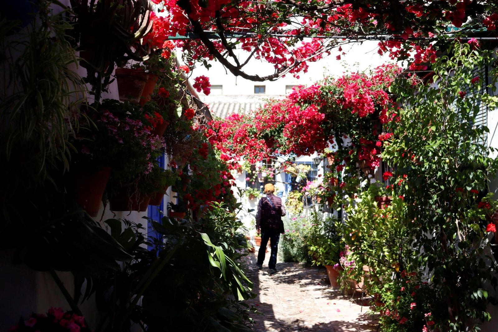 Patio de Marroquíes, 6, ganador de la mención de honor en 2025