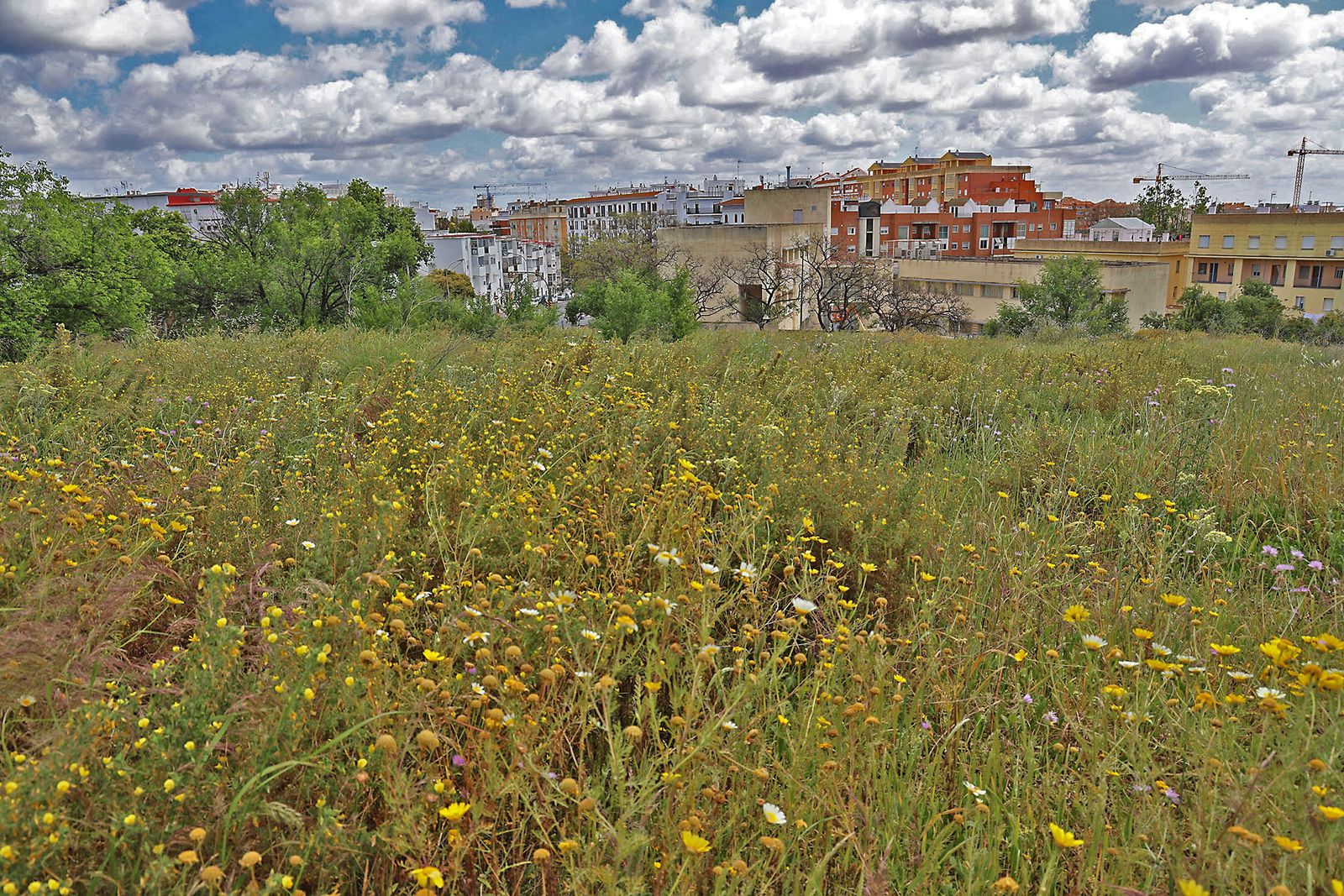 Las imágenes mas destacadas del miércoles 1 de mayo en Huelva