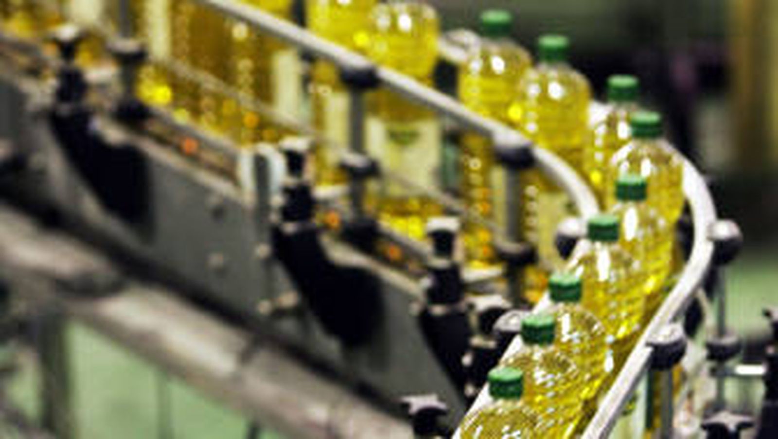 La producción de aceite en Andalucía crecerá un 20% esta campaña