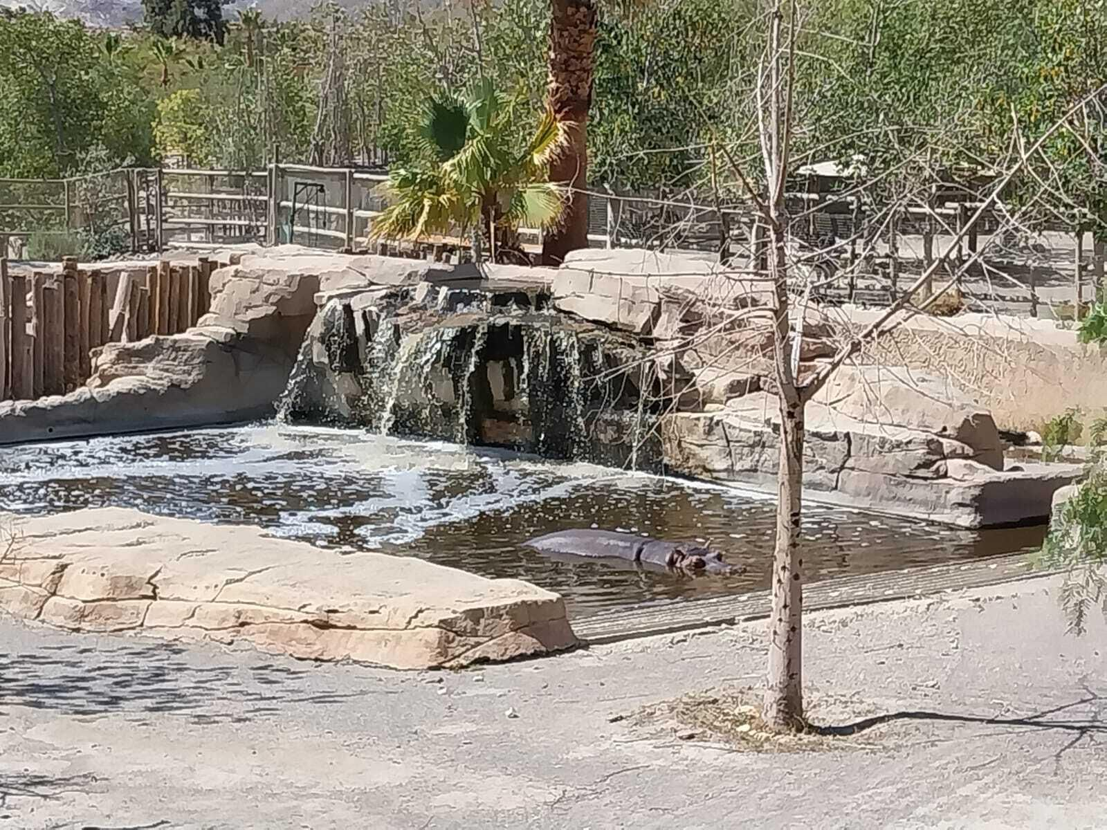 Vea cómo es el Mini Hollywood Oasys y sus espectaculares decorados