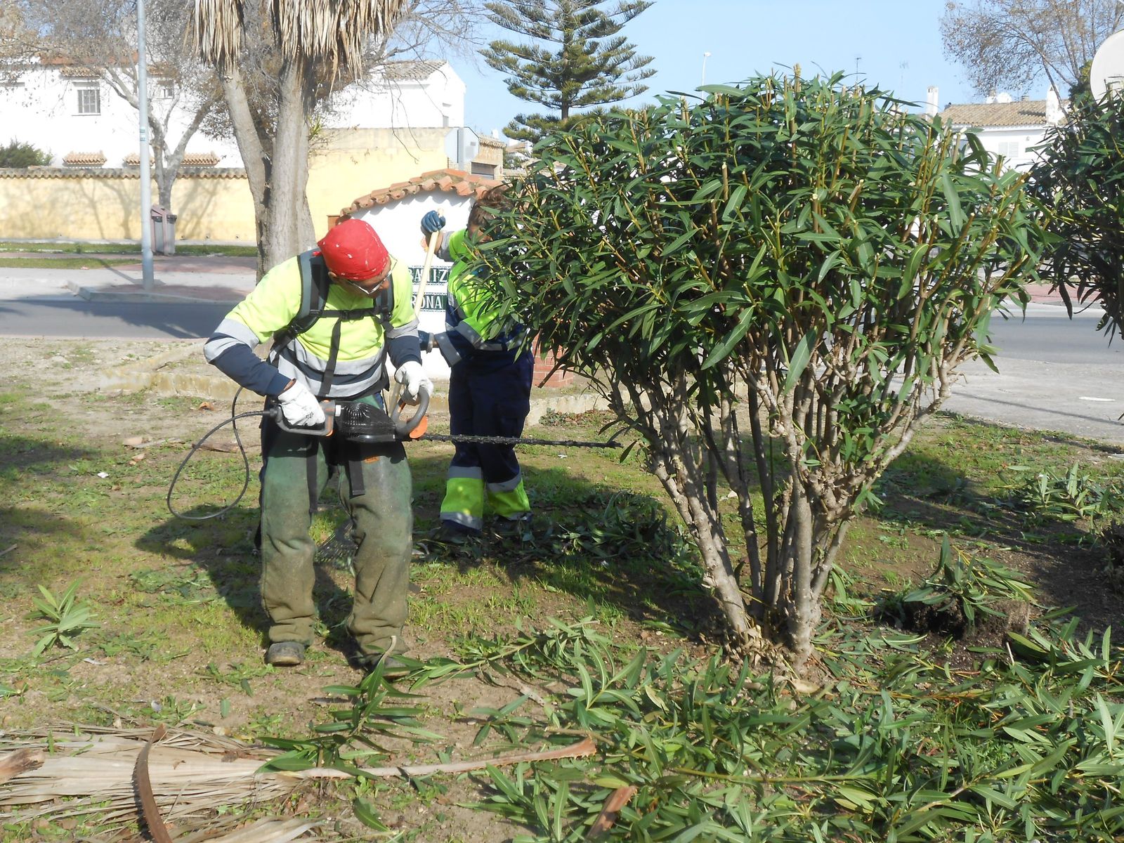 Trabajos de mantenimiento de jardines en Puerto Real