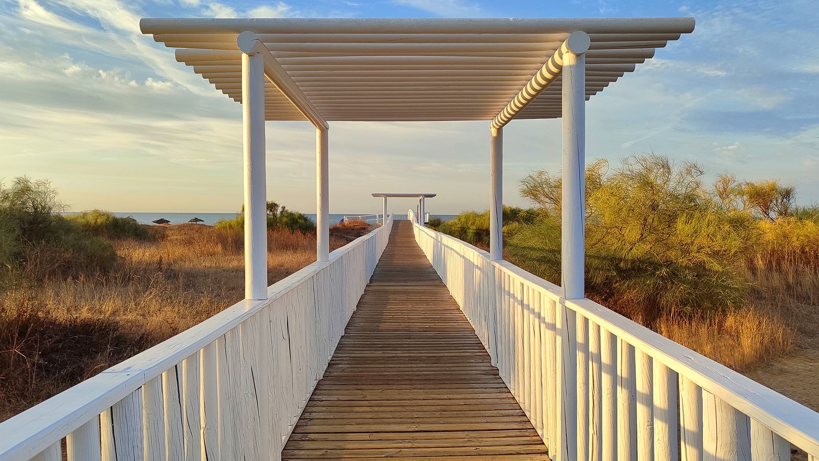 Pasarela con pérgola
