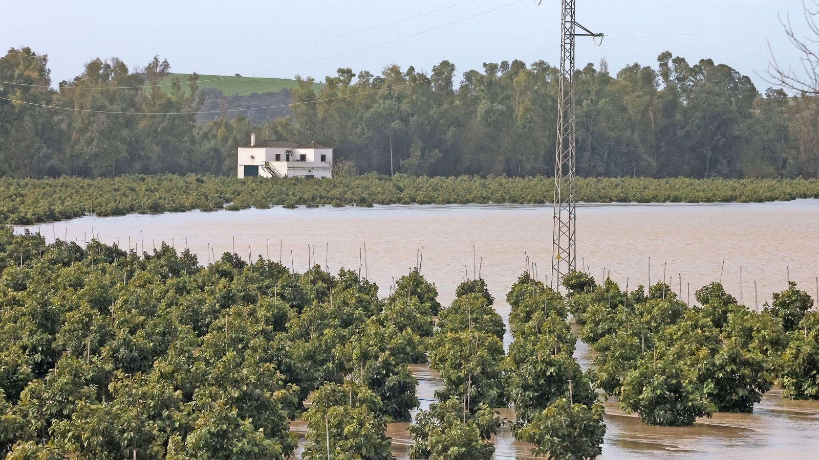 Así afronta la zona rural de Jerez la subida del río Guadalete
