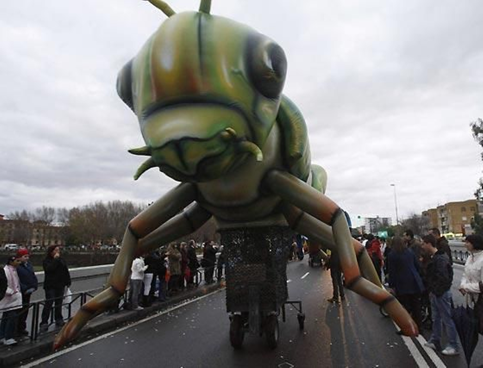 Foto: José Martínez