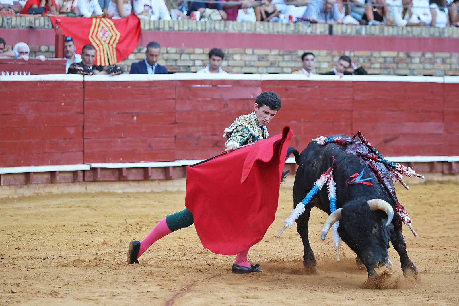 Toros La Merced 2024 Novillada con picadores(