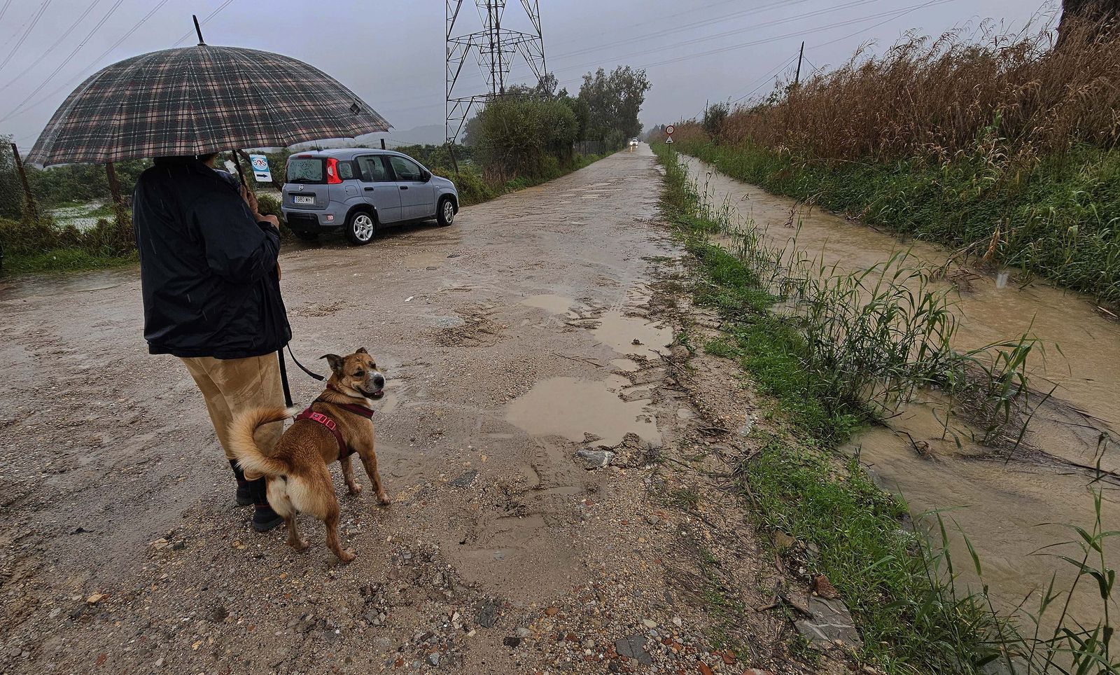 Fotos de las inundaciones y efectos de la borrasca Francis en Los Barrios, Tesorillo y Jimena