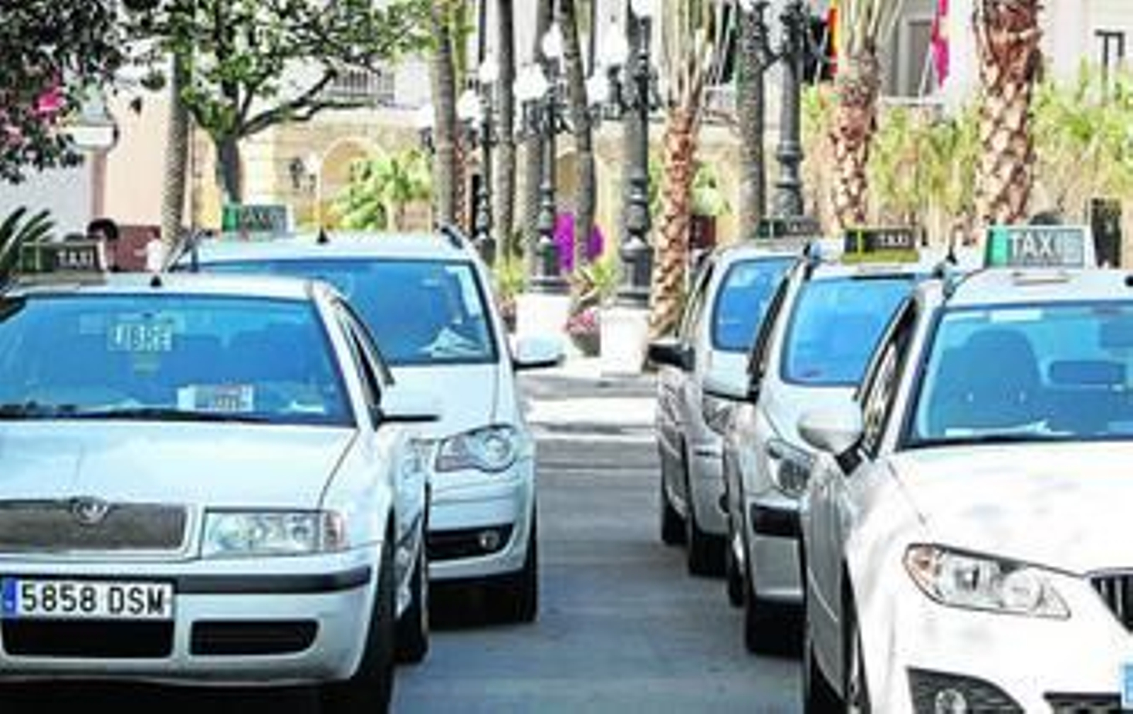 Varios taxis a la espera de usuarios en la renovada parada de la plaza San Juan de Dios.