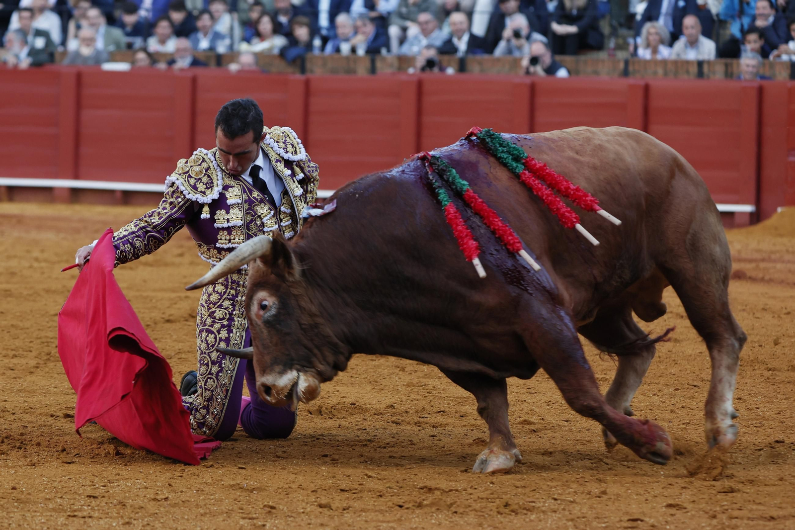 Las Imágenes del festejo