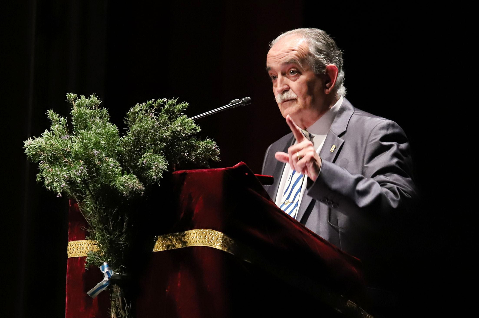 Imágenes del pregón de San Sebastián pronunciado por Manuel Correa