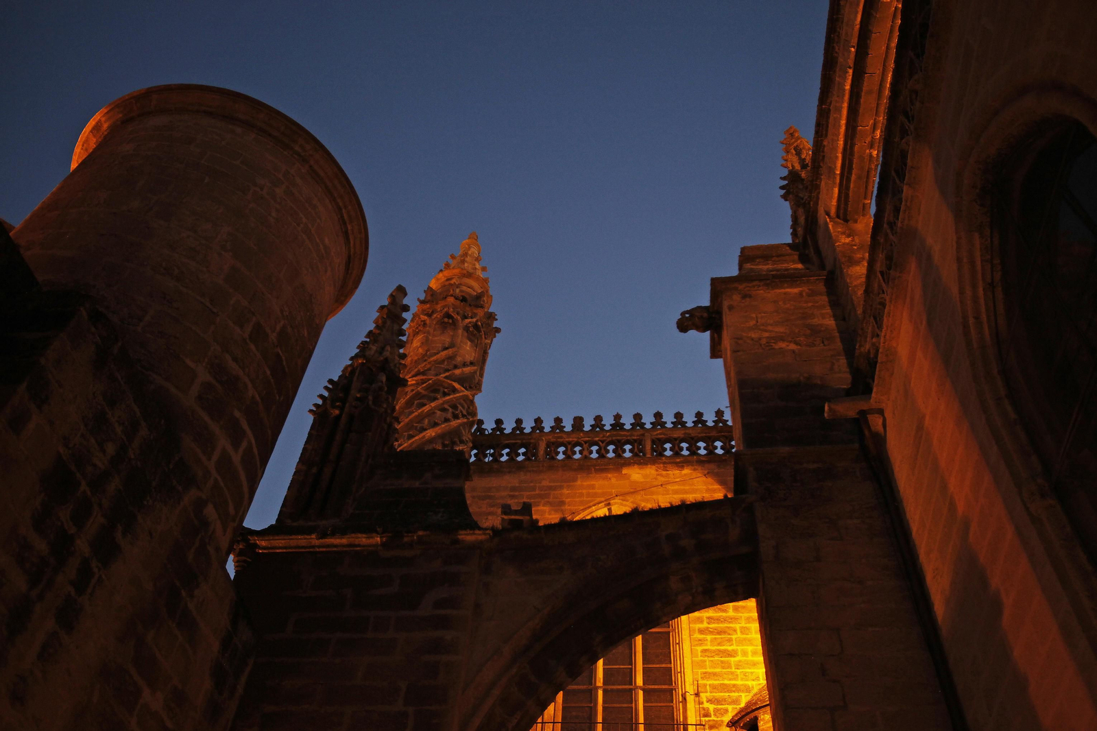 Visita nocturna a la Catedral