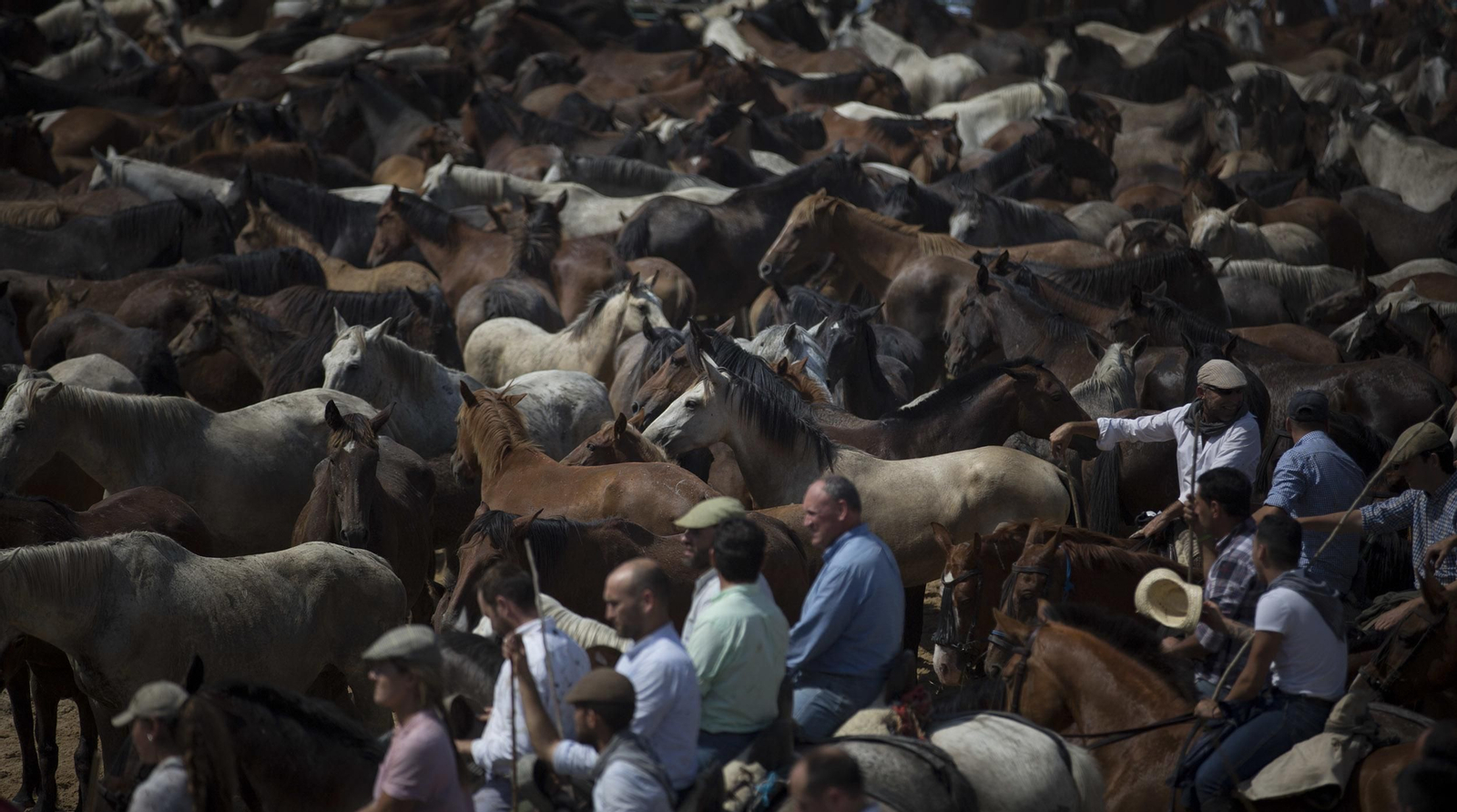 La tradicional y ancestral 'Saca de las  Yeguas', en imágenes