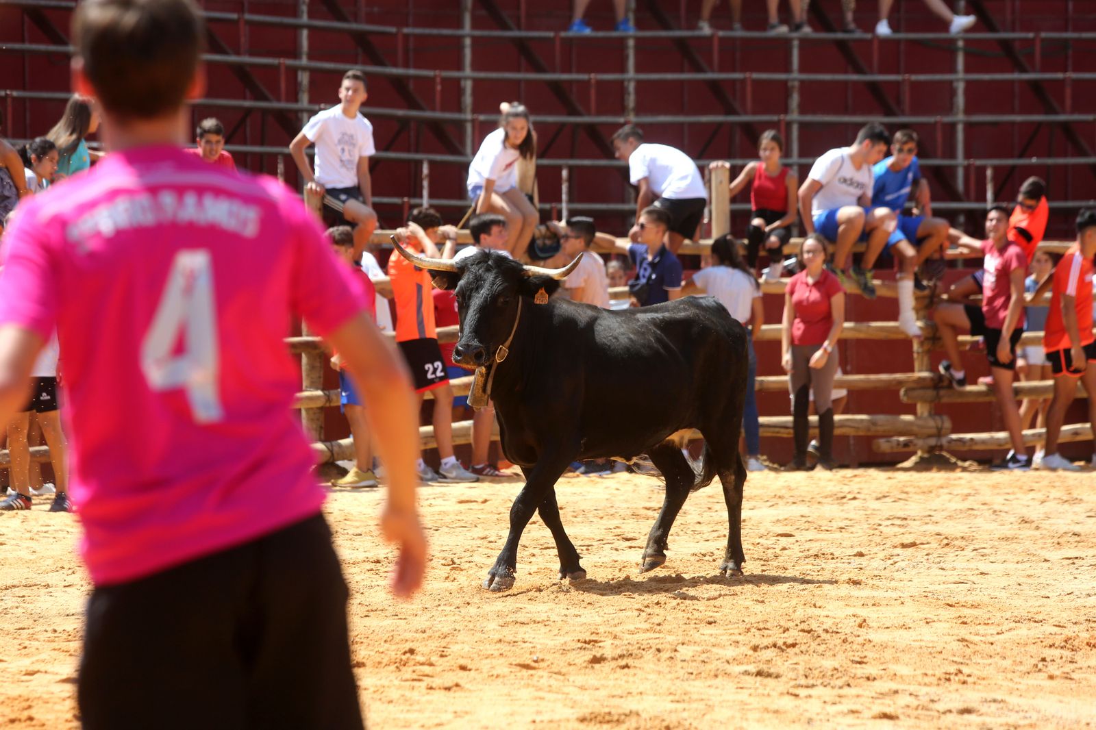 Capeas de Trigueros en imágenes