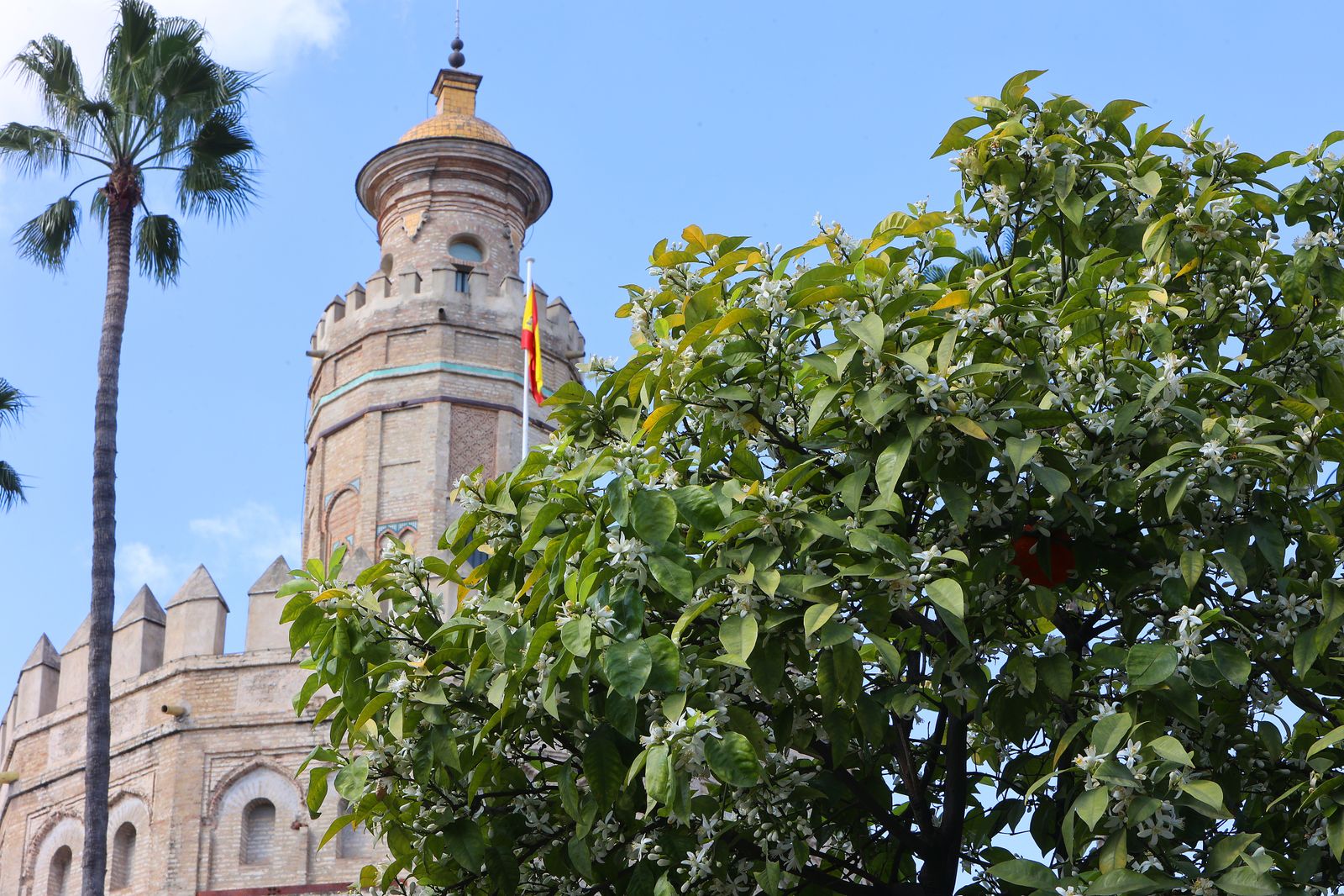 Comienzo de la primavera en Sevilla