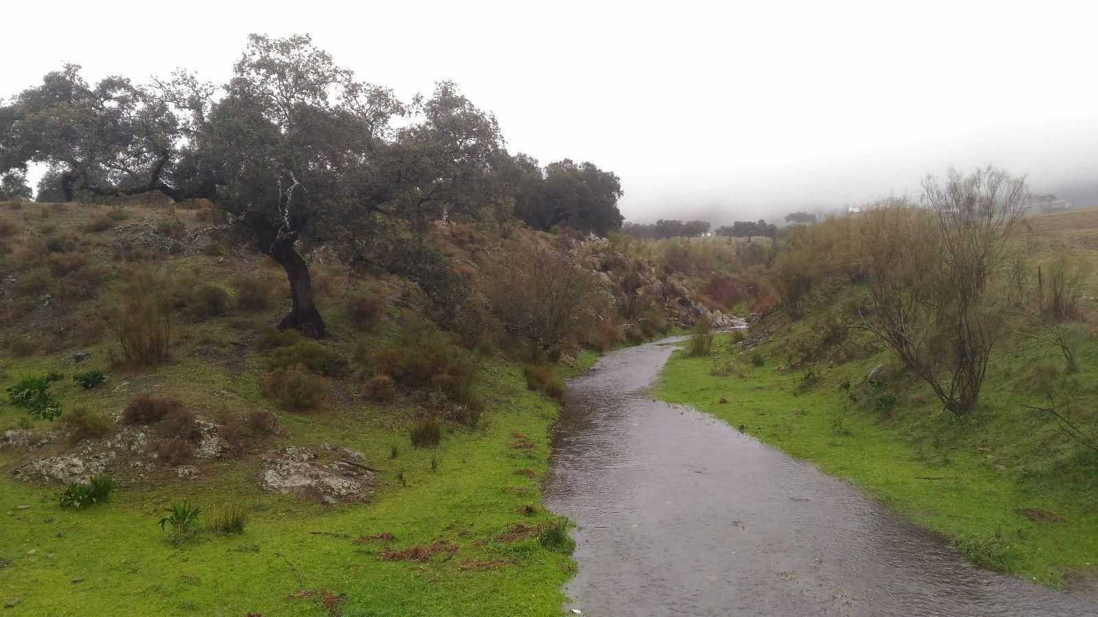 Un bucólico paisaje entre El Real de la Jara y Monesterio