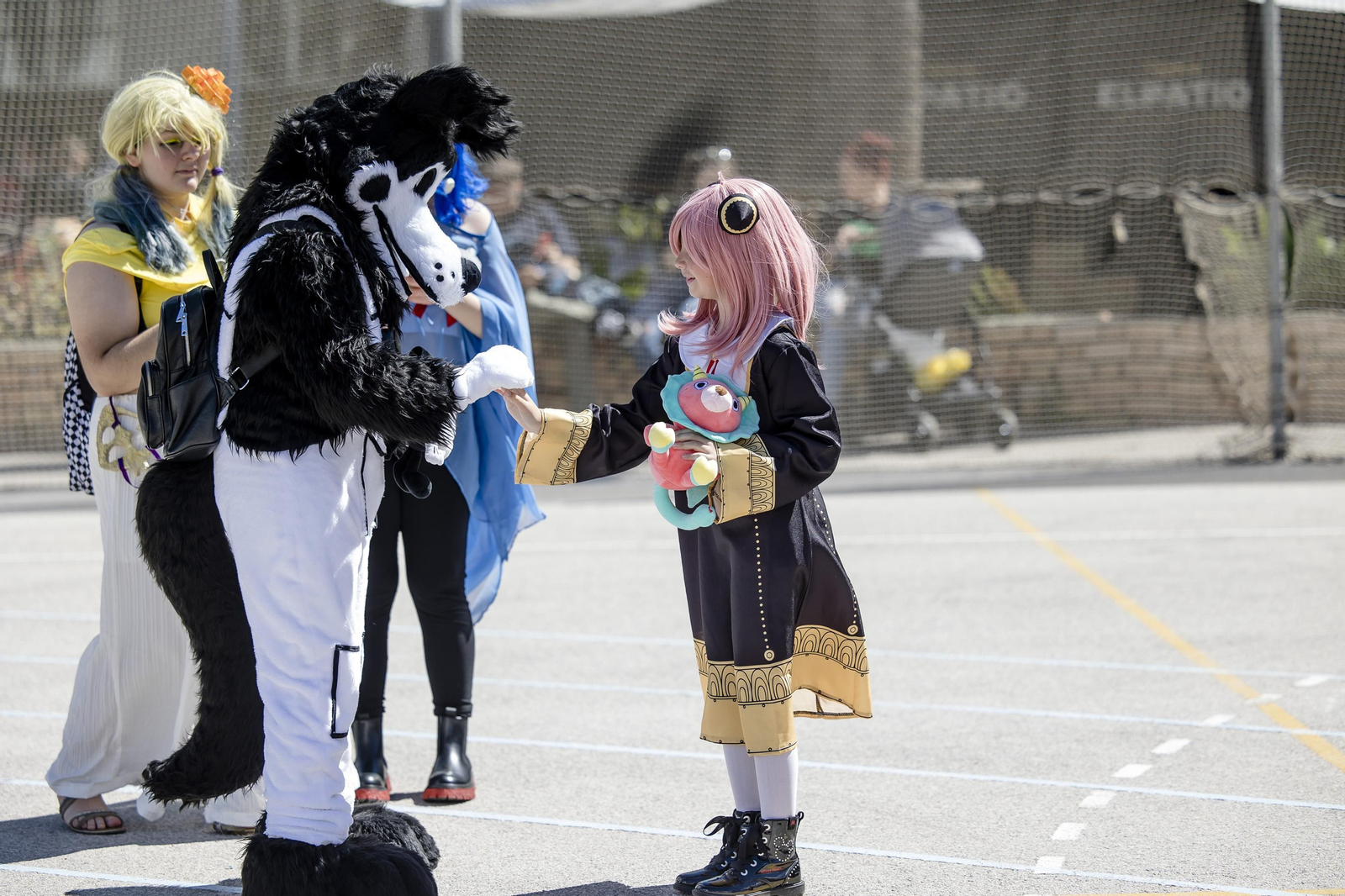 Las imágenes de la jornada del sábado en el  Festival Manga de Cádiz 2023
