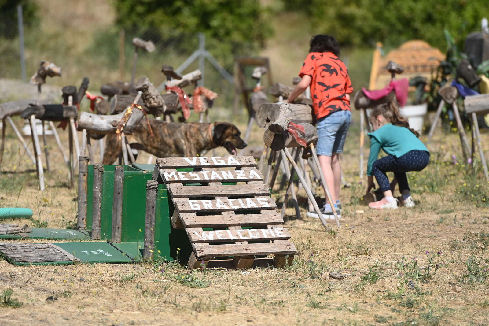 La Vega de Mestanza se reivindica al ritmo de los verdiales