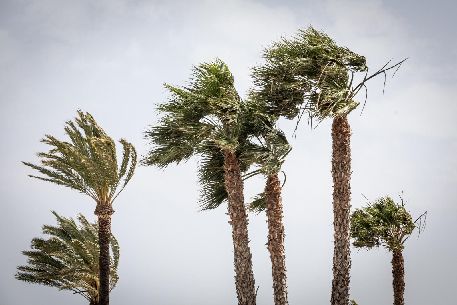 Alerta naranja por Levante en Cádiz