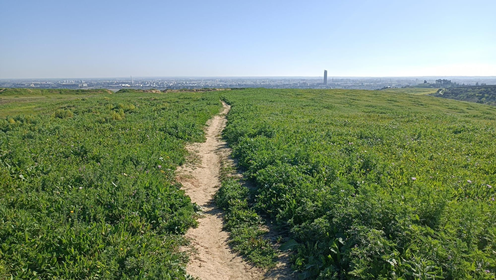 Vistas desde el Caño Ronco