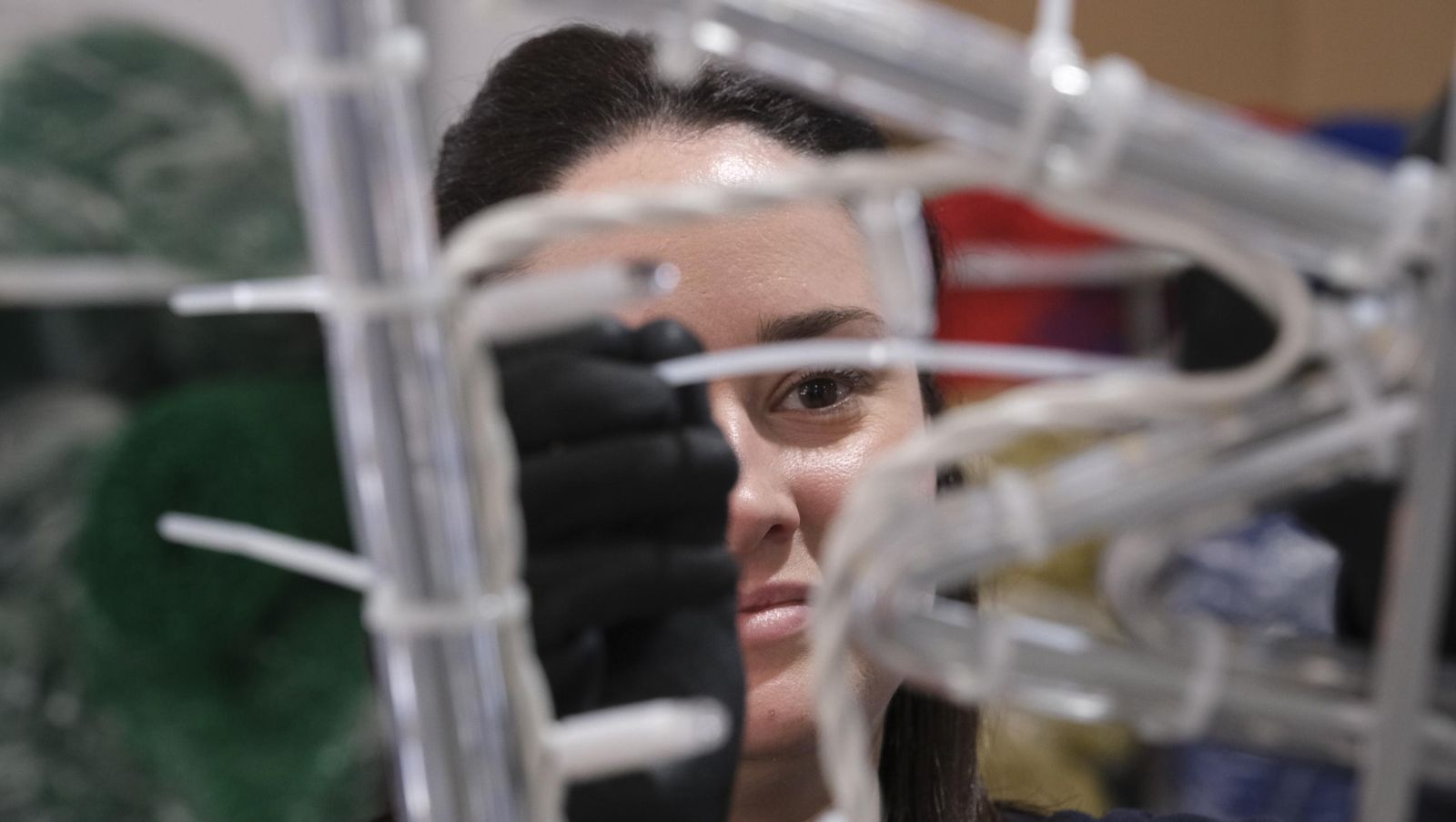 Desde Huécija a todo el mundo, Deconature, alegra la navidad con sus luces, en imágenes