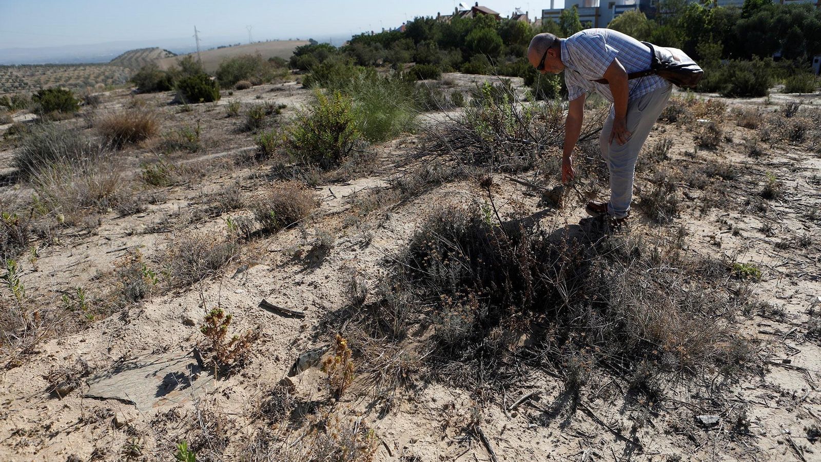 El catedrático Leonardo García señala el corredor del enterramiento de la Señora del Marfil.