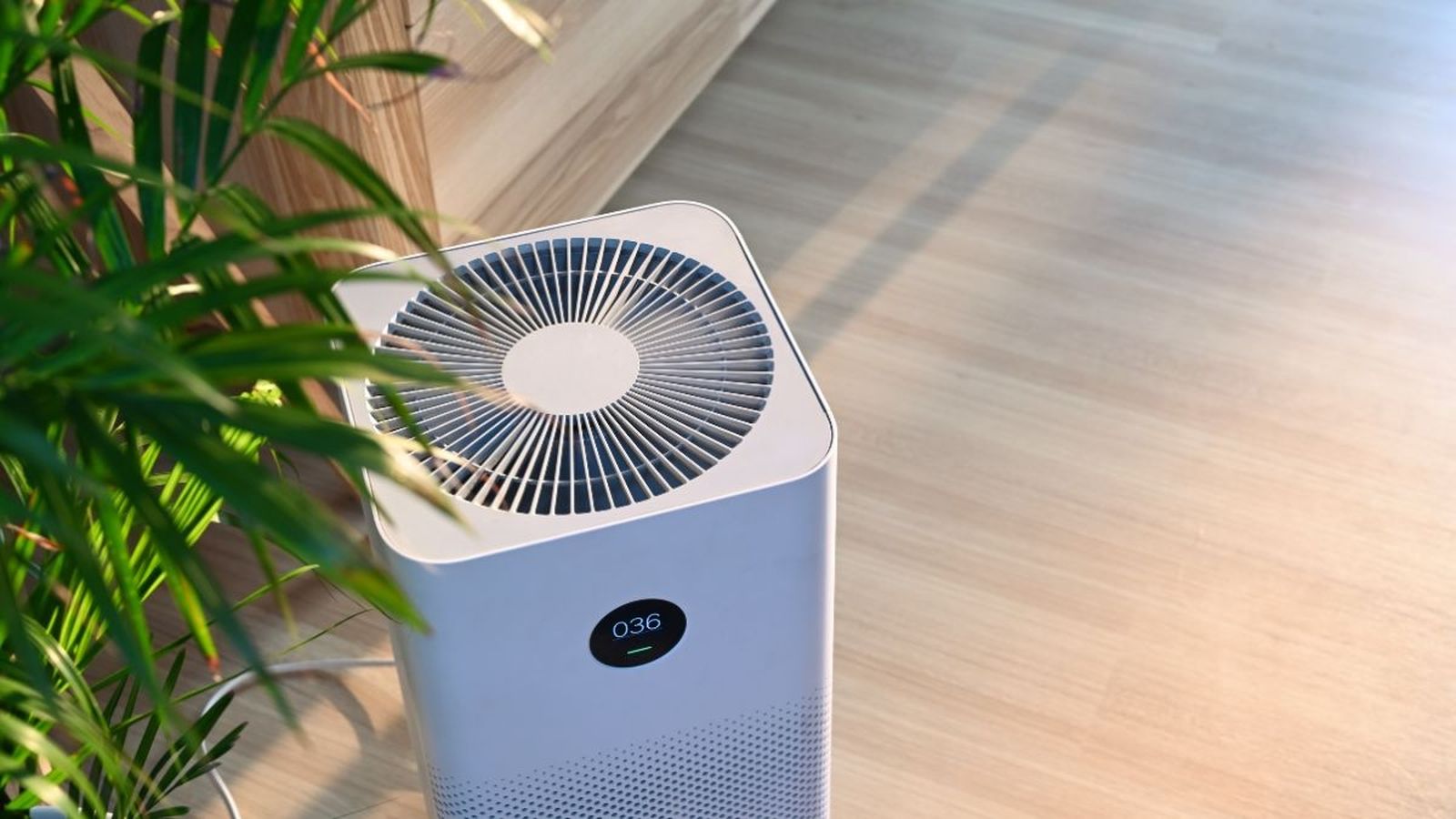 Los 10 mejores purificadores de aire de este año para disfrutar de un hogar sin alérgenos