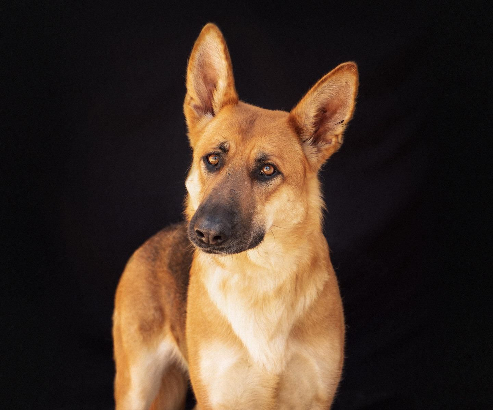 Un nuevo hogar para Tina