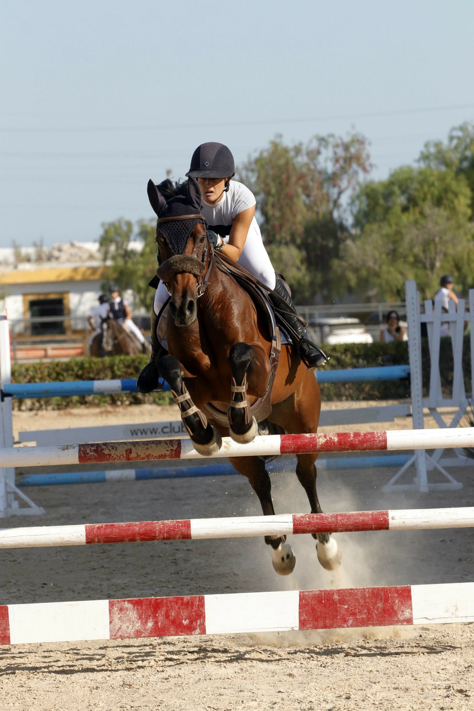 Fotogalería del XLV Concurso Nacional de Salto de Obstáculos