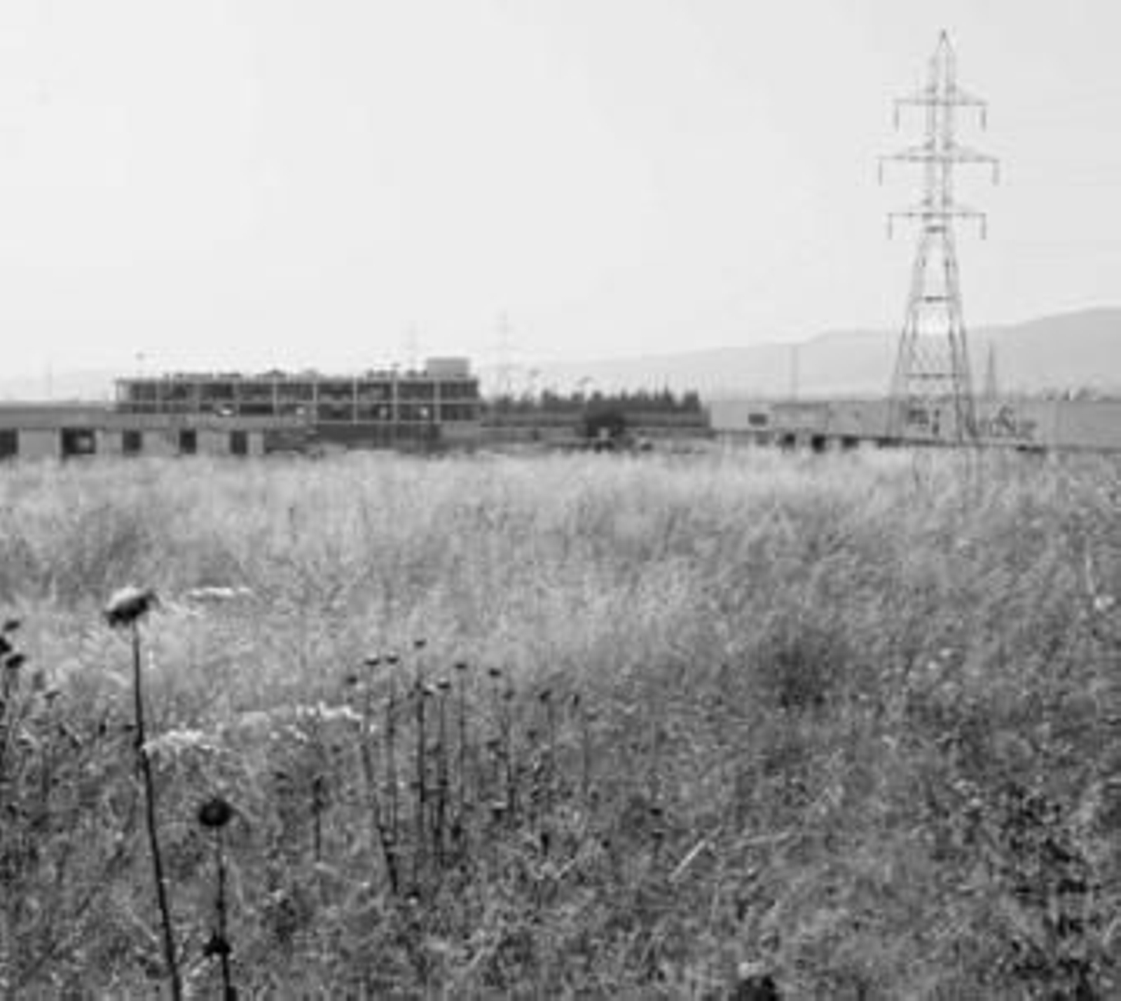 Terrenos afectados por el plan que prevé crear un bulevar de servicios en La Torrecilla.