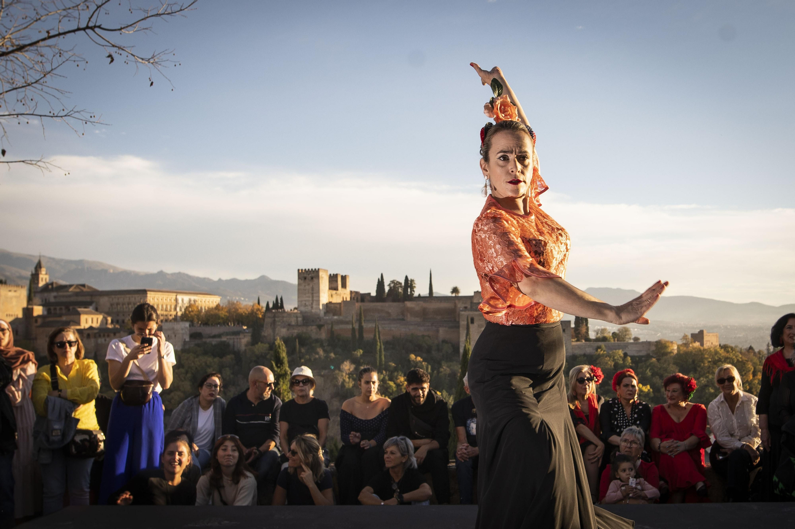 Granada celebra el Día del Flamenco, en imágenes