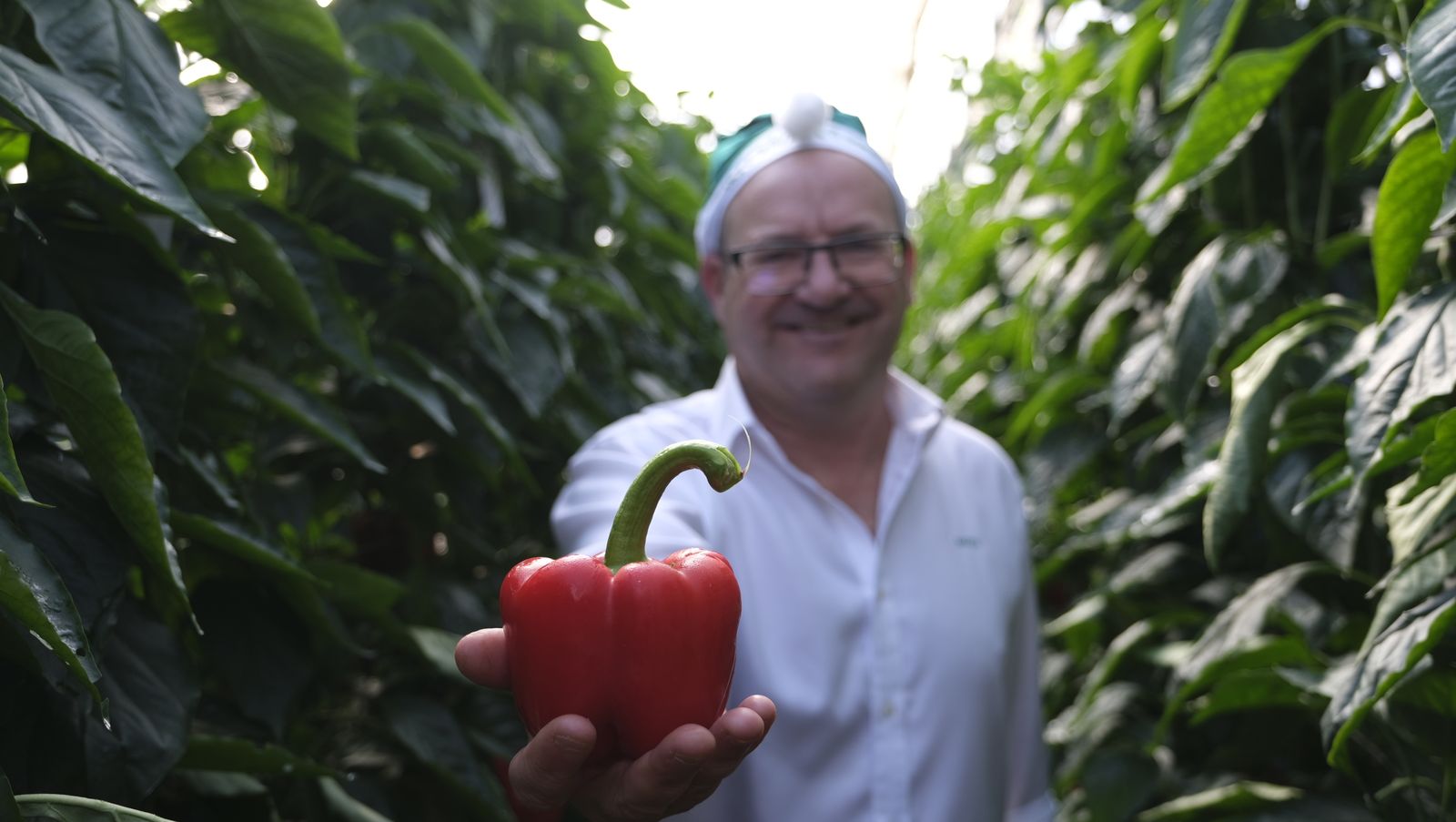 Javier Pérez muestra un ejemplar de Moma, el pimiento de ciclo tardío presentado por Sakata.