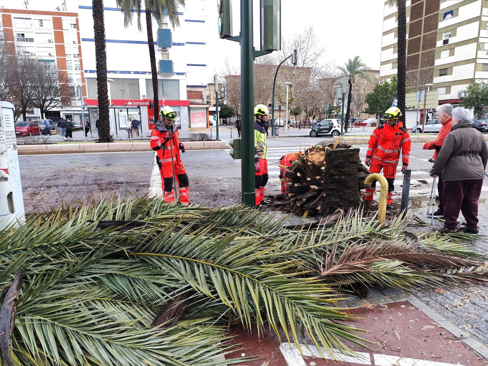 Las imágenes de los destrozos de la borrasca Kristin en Córdoba: árboles arrancados y desprendimientos de tejados y fachadas
