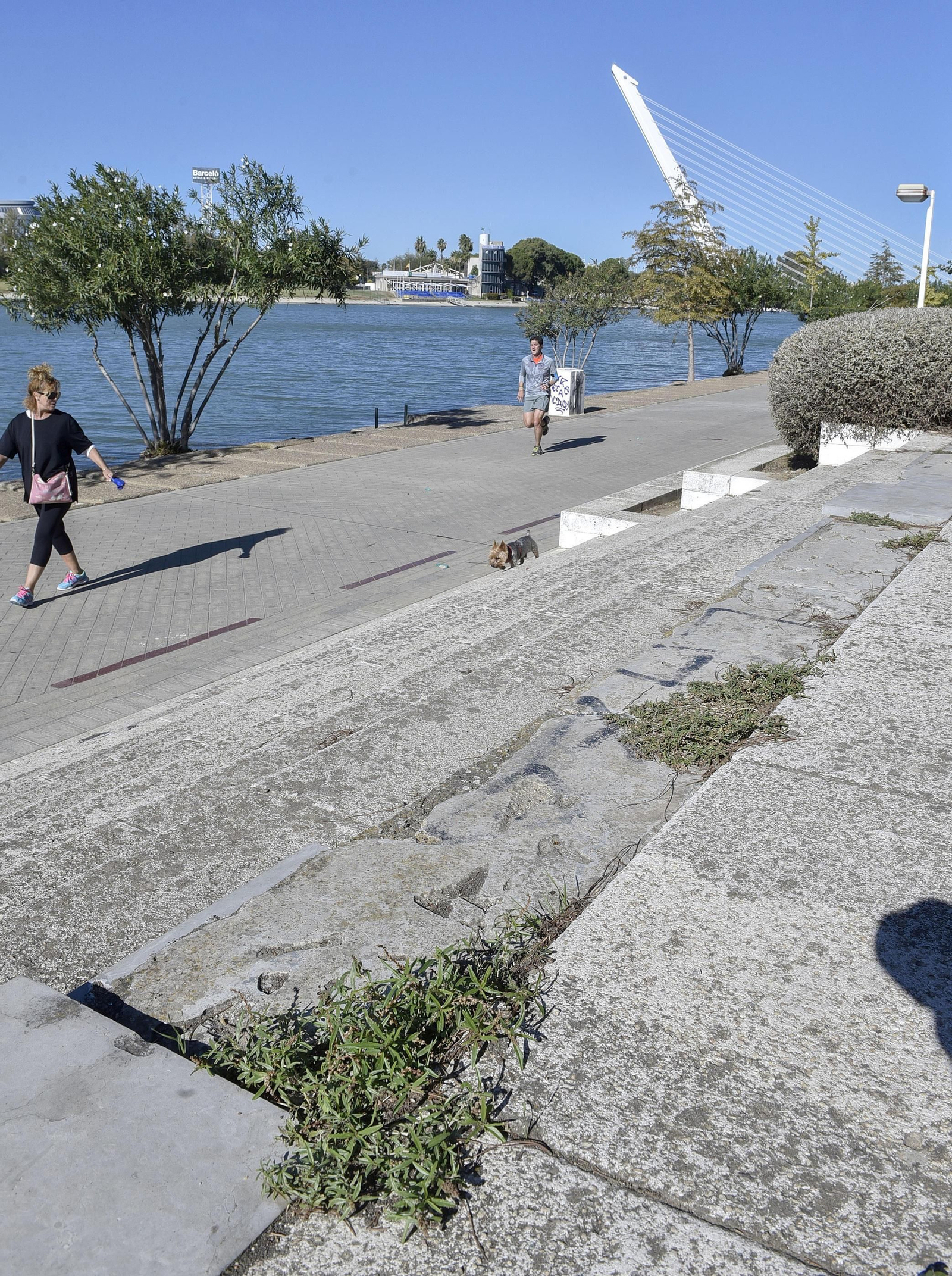 Desperfectos en el entorno del río