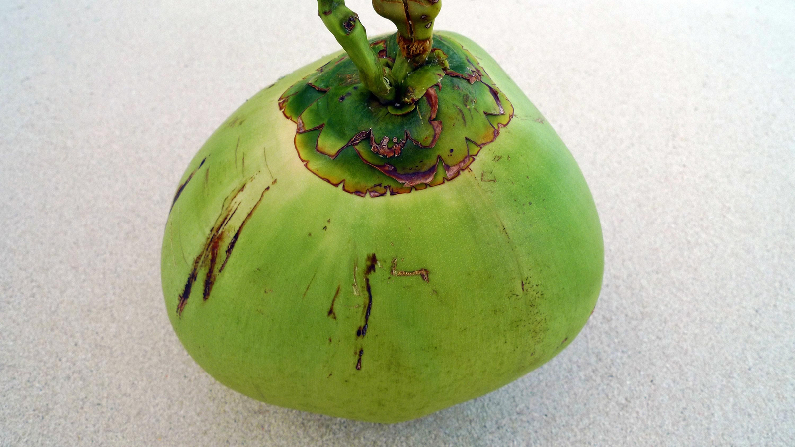 Las aventuras que ofrece Docastaway