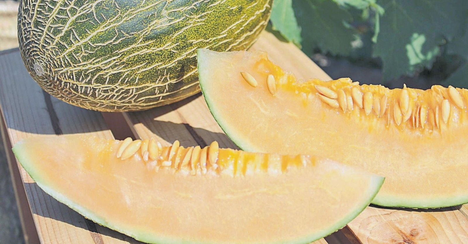 Los colores del verano