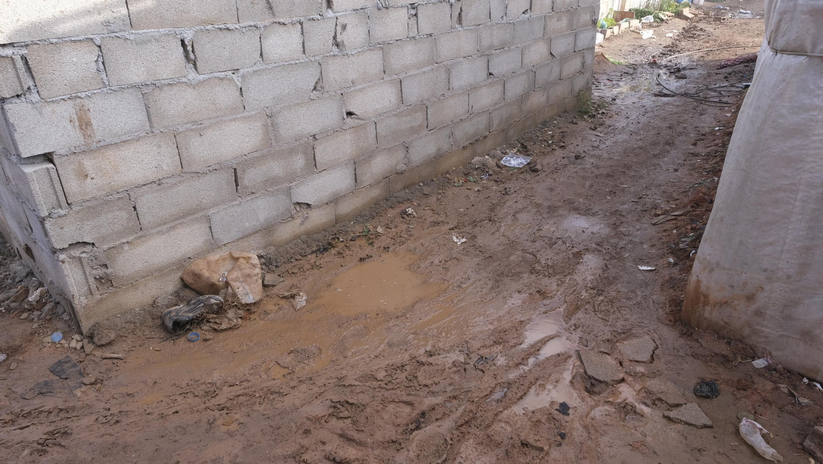 Imágenes del desalojo del asentamiento chabolista 'El Walili', en Níjar