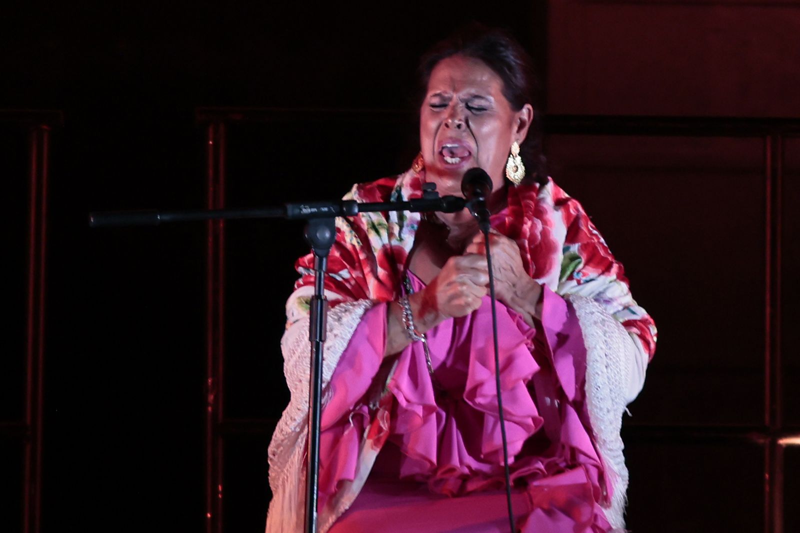 Las imágenes del recital de Aurora Vargas en la Bienal