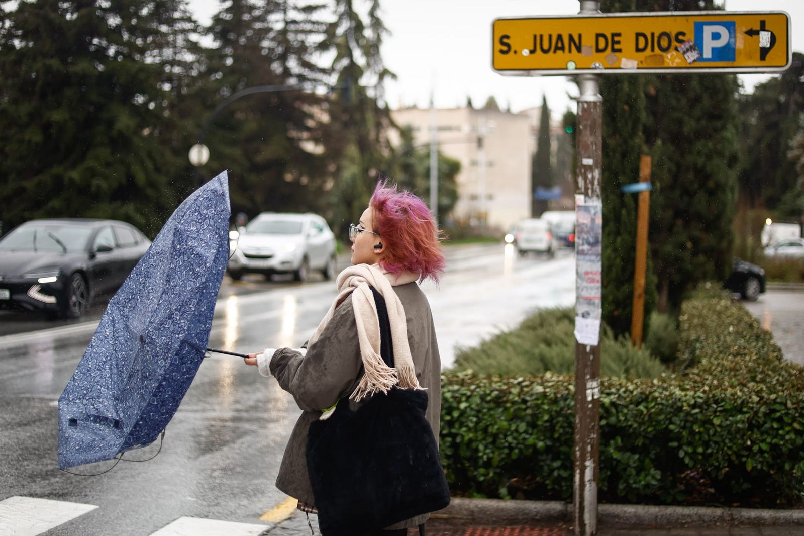 Kristin 'vacía' Granada: las imágenes del paso de la borrasca por la ciudad