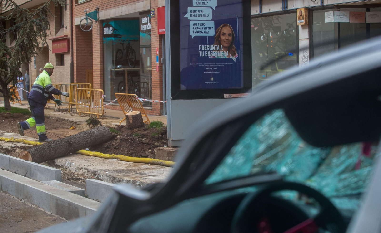 Caída de un árbol sobre un coche en Soria.