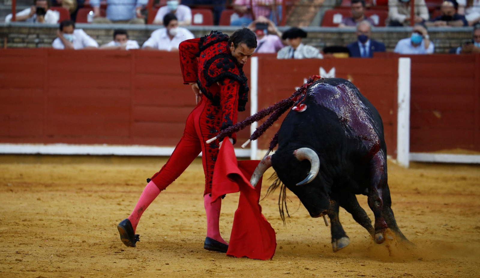 Finito de Córdoba, en la pasada Feria de Mayo de Córdoba.